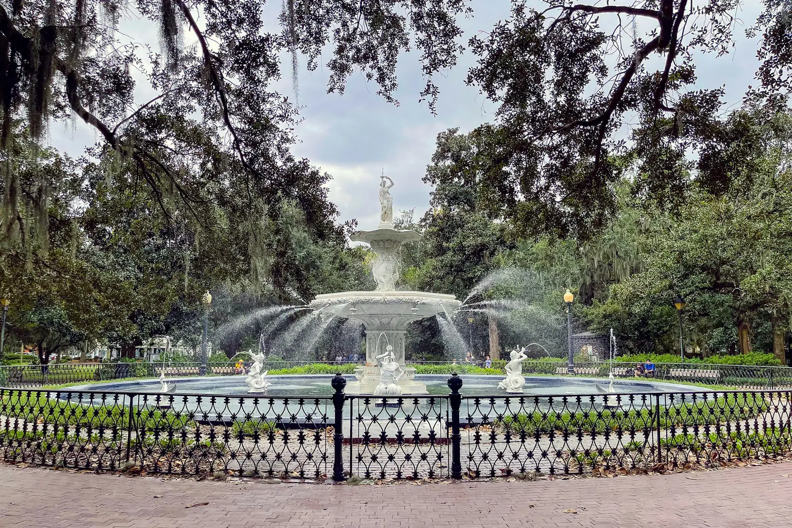Savannah