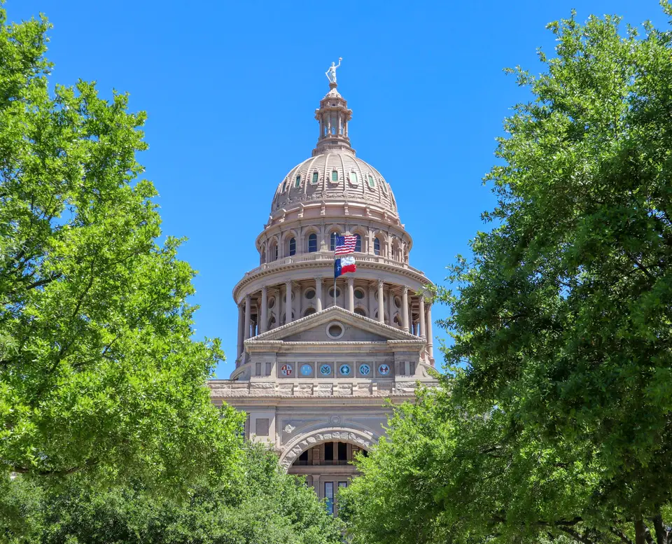 palace near trees — Austin