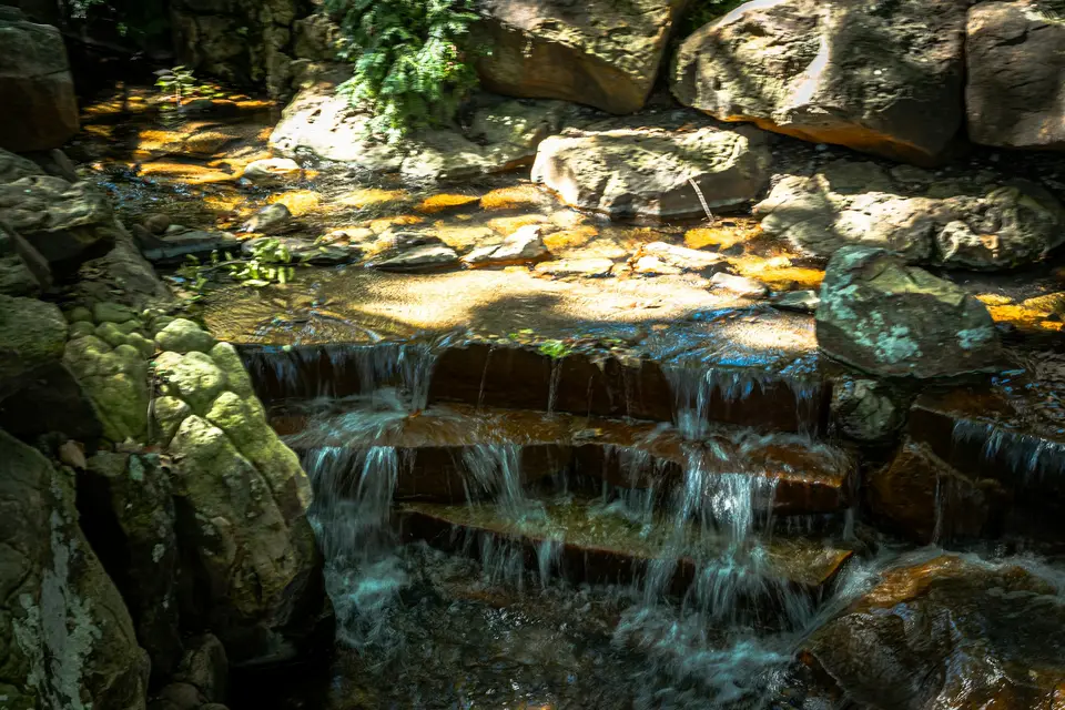 a stream of water running through a lush green forest — Dallas–Fort Worth