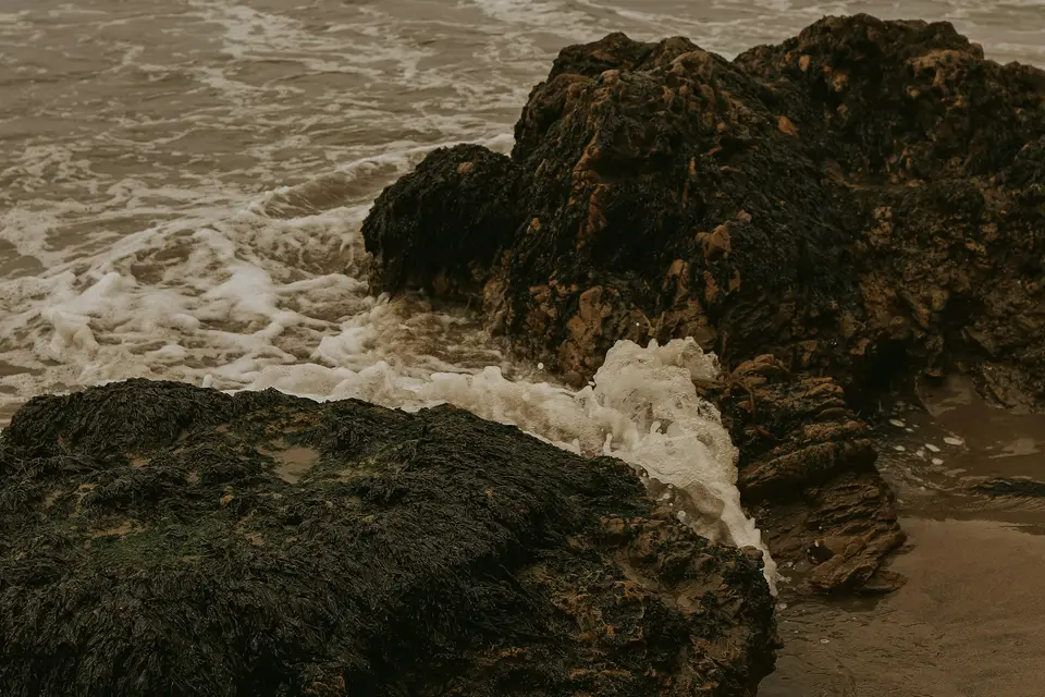 brown rock formation beside sea during daytime — Los Angeles