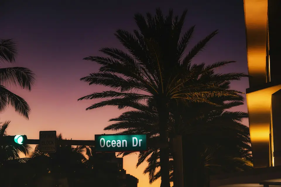 a street sign next to a palm tree — Miami