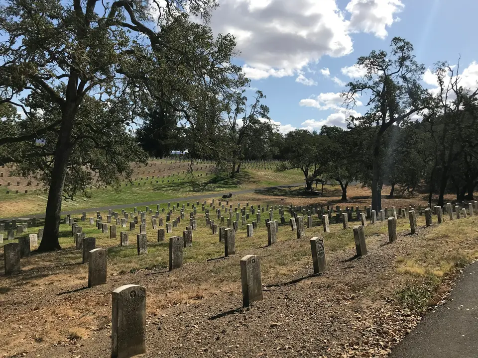 brown graveyard — Napa Valley