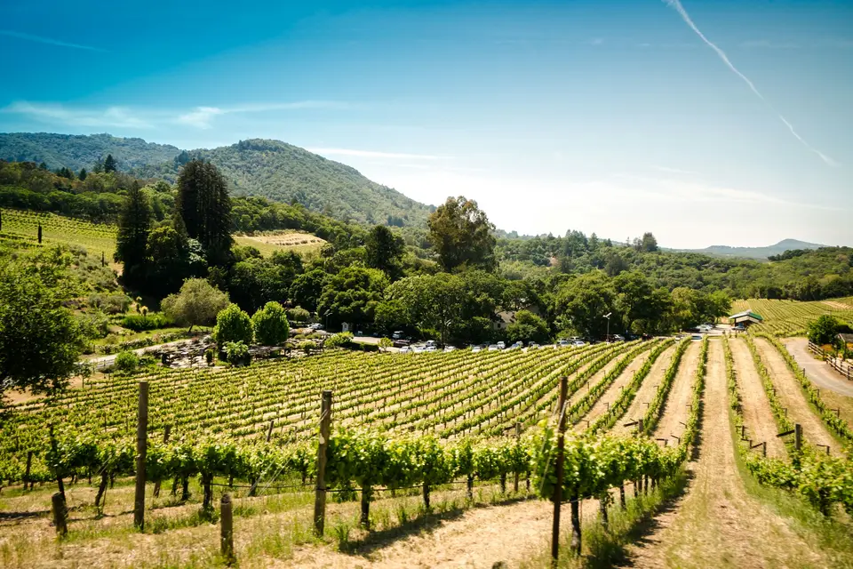 landscape photography of farm — Napa Valley
