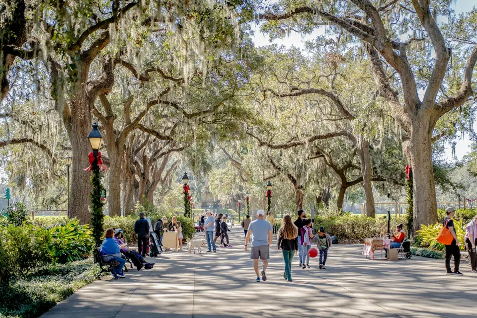 A group of people walking down a street next to trees — Savannah