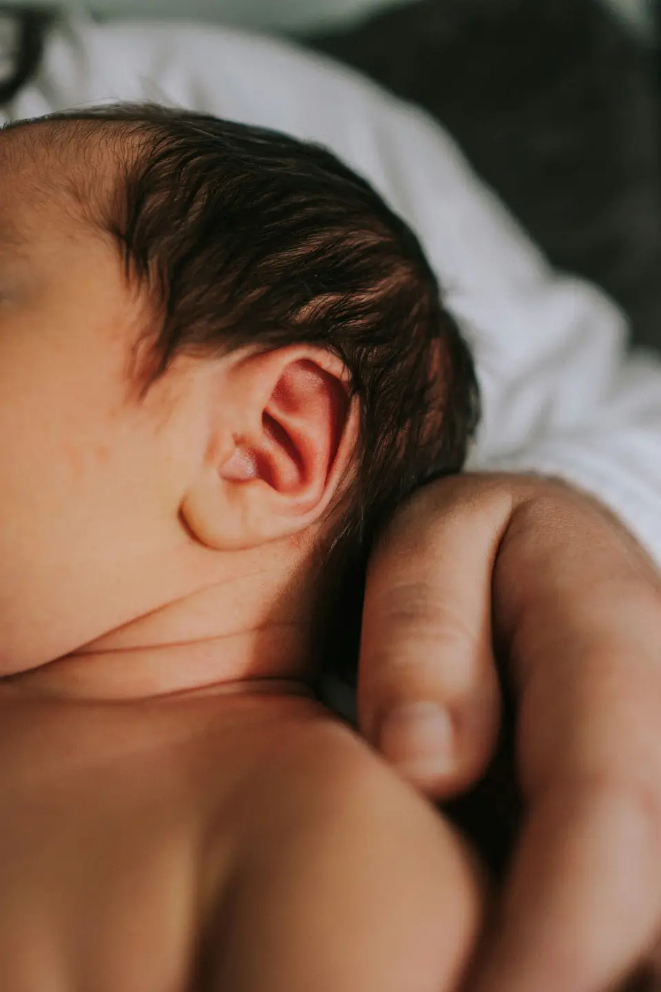 Newborn session — 5